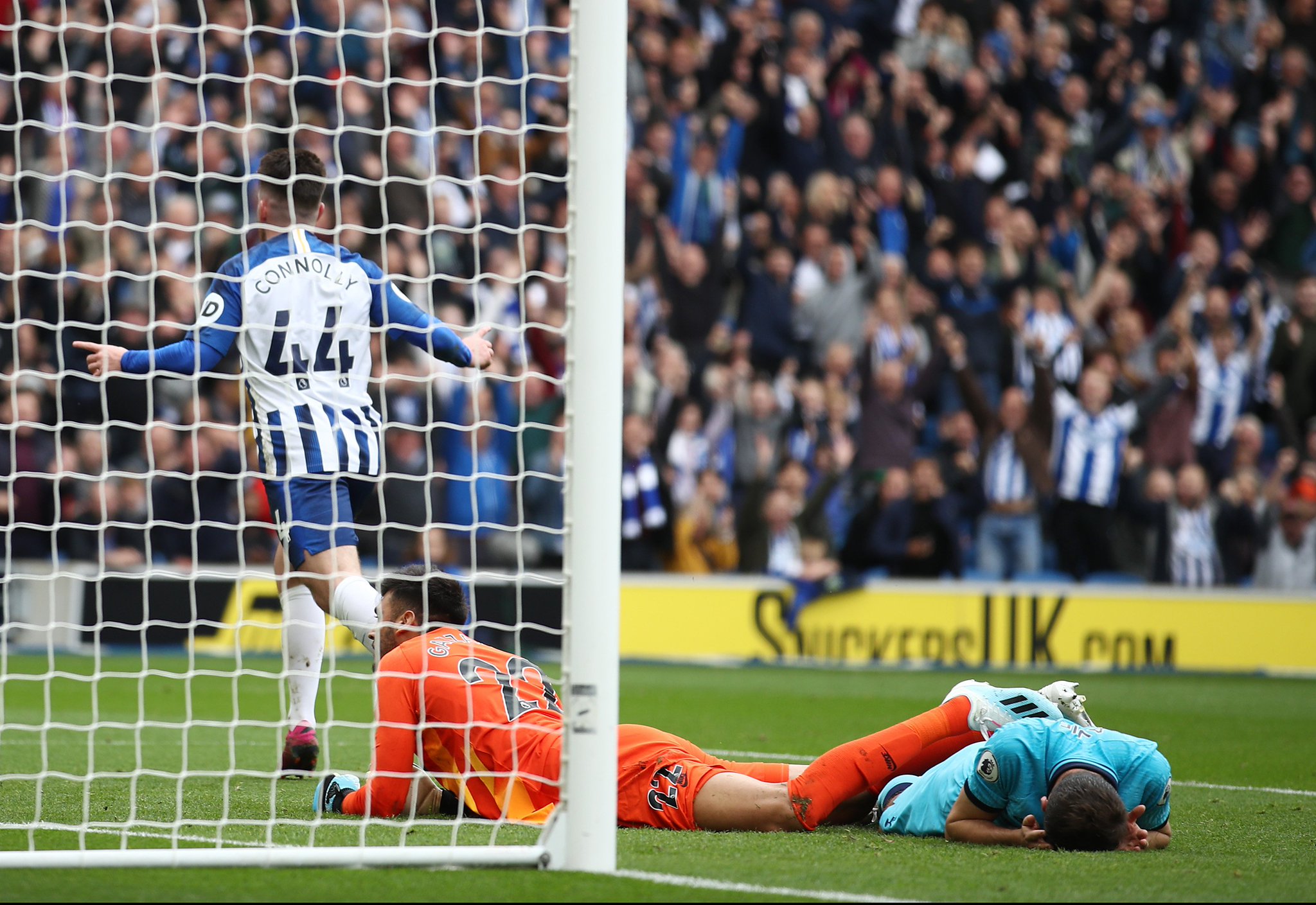 也没能幸免 也没能幸免